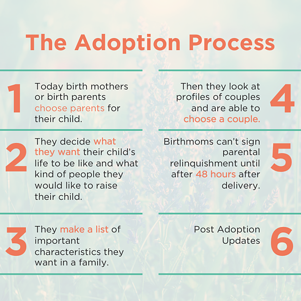 adoption process step-by-step